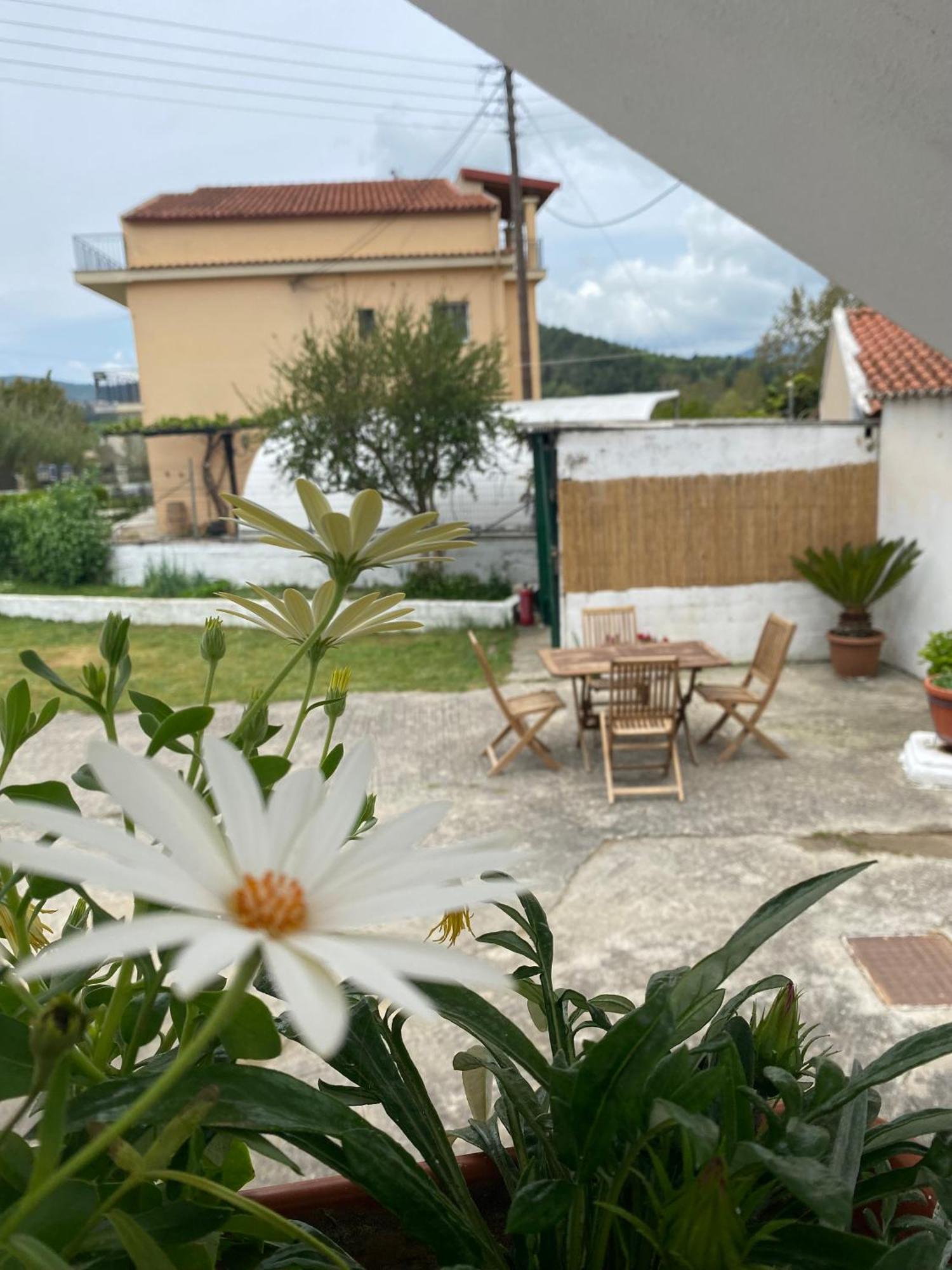 Navy Apartment With Mountain View &Private Parking Βάτος Εξωτερικό φωτογραφία