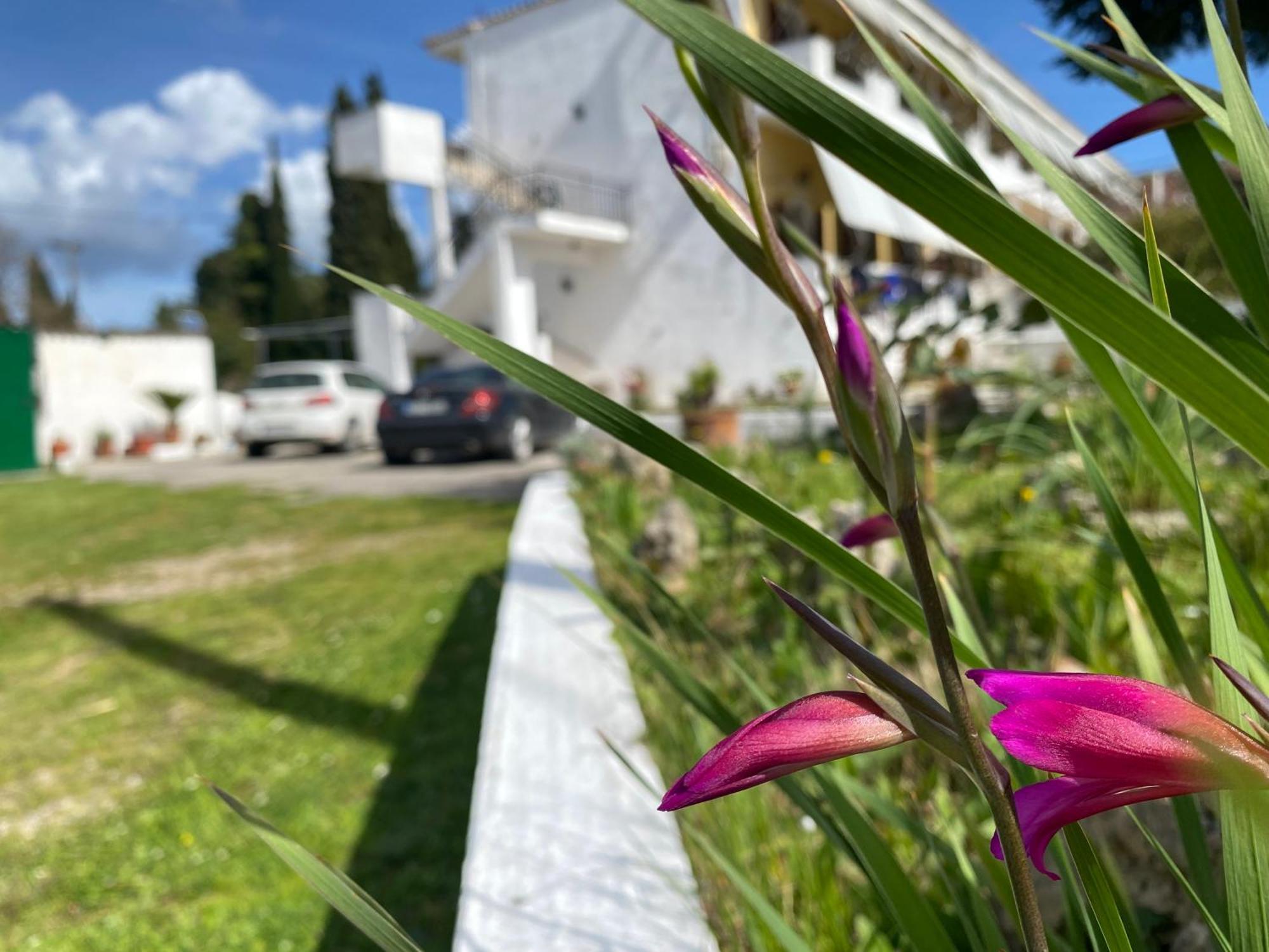 Navy Apartment With Mountain View &Private Parking Βάτος Εξωτερικό φωτογραφία